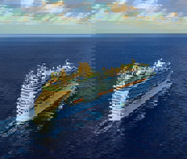 Freedom of the Seas