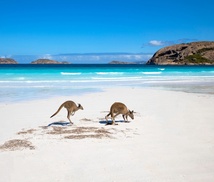 Sensational Singapore, Bali Bliss & Australia’s Southern Shores