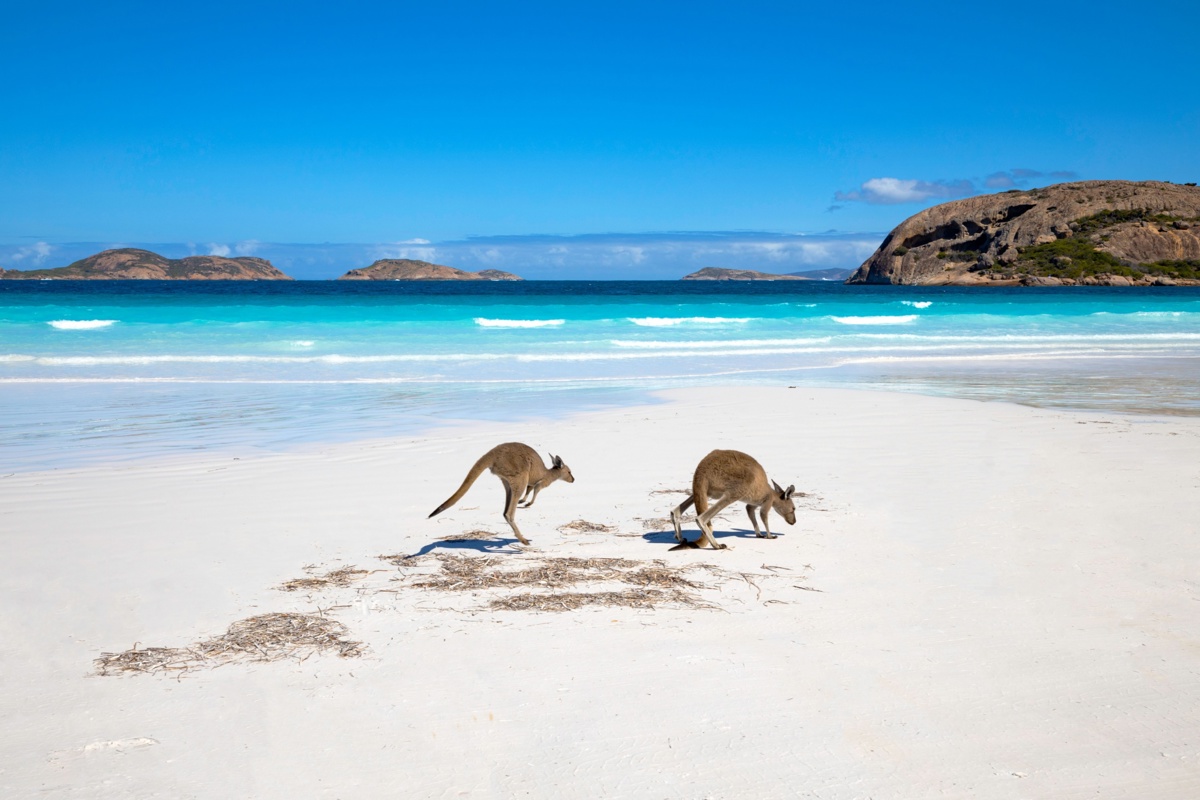 Shutterstock 1962010228 Esperance
