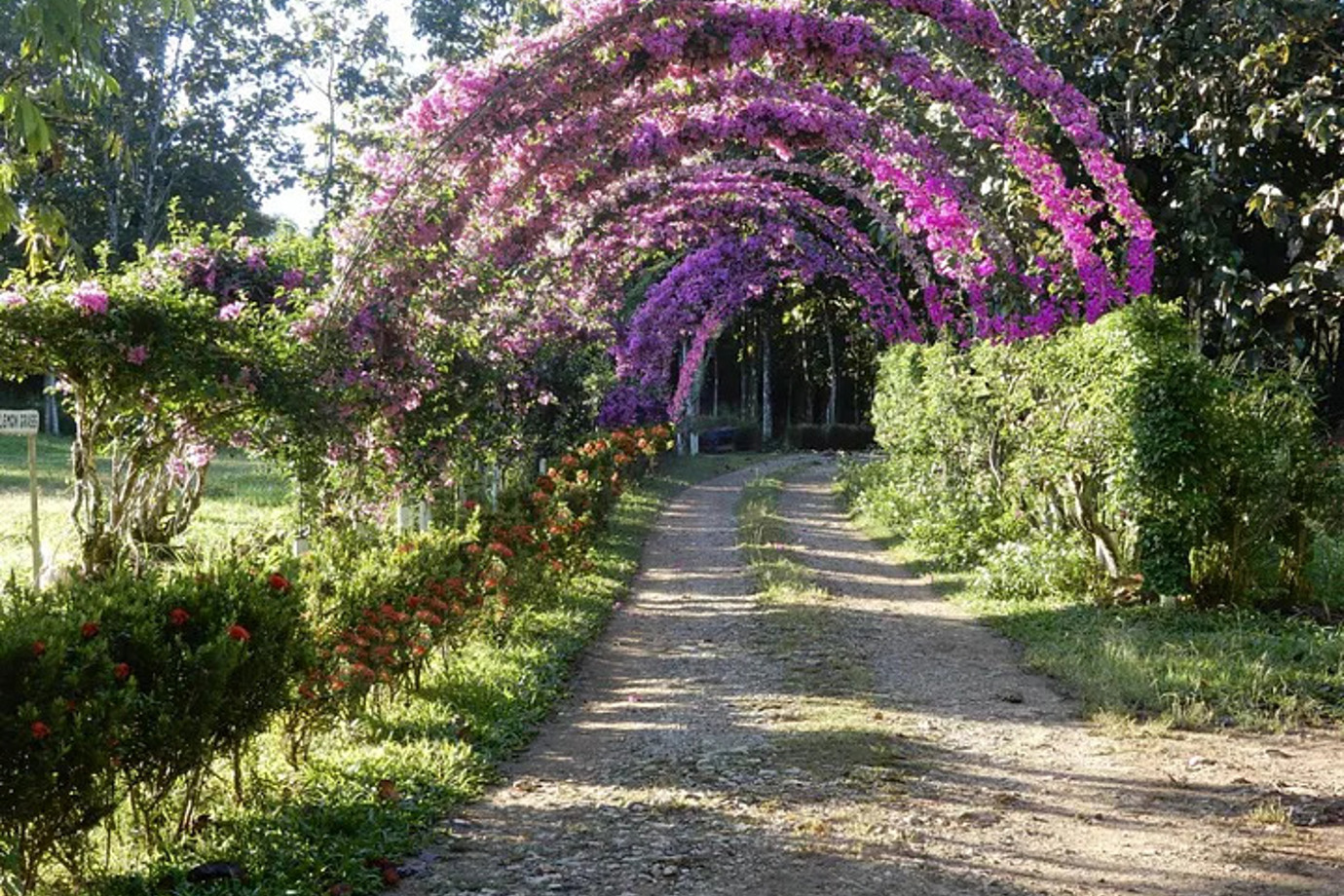 Spice Farm & Botanical Gardens