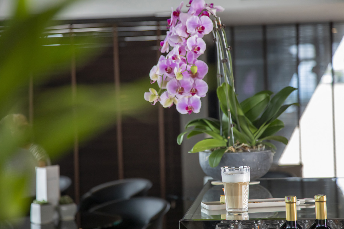 Emerald Waterways - Emerald Harmony - Horizon Bar and Lounge _12_.jpg