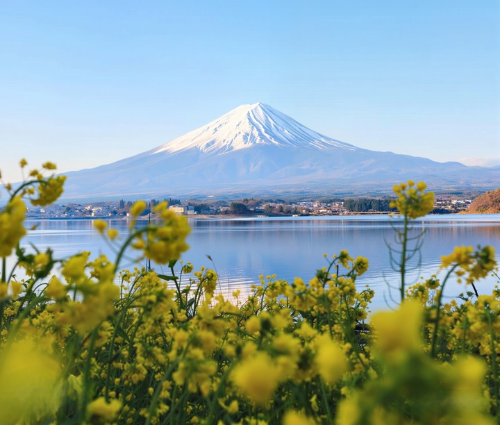 5* Summertime Serenity in Japan