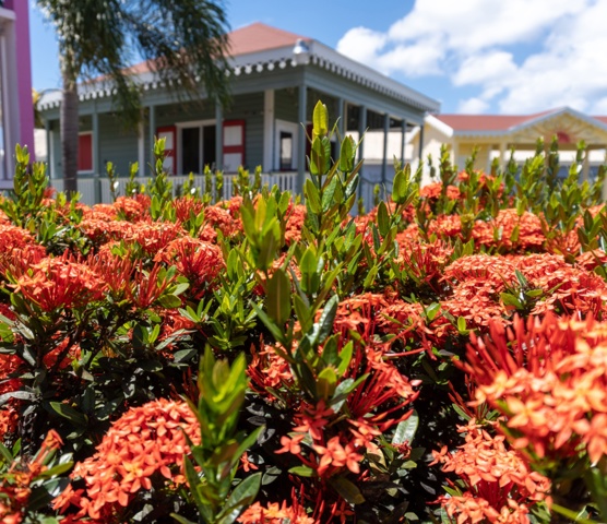 Nevis Artisan Village