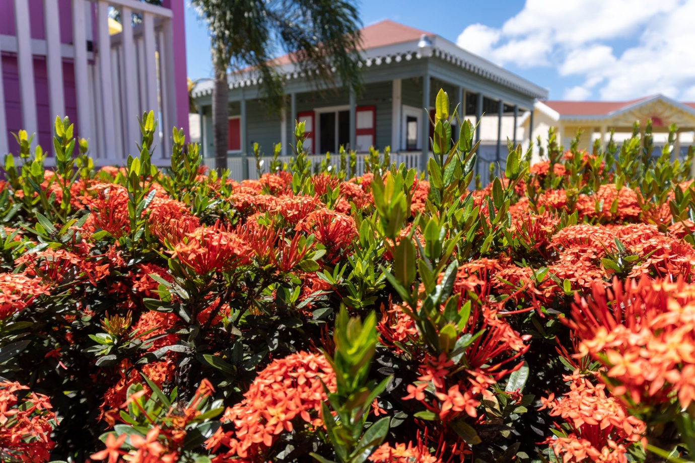 Nevis Artisan Village