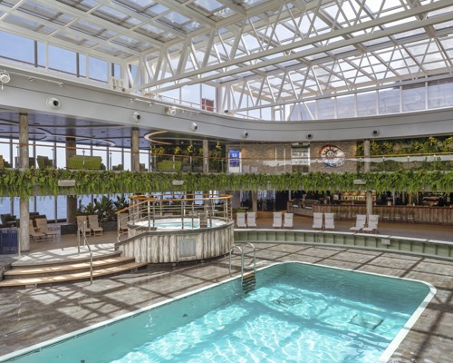 MSC Cruises MSC Seashore Jungle Pool Lounge 4.jpg