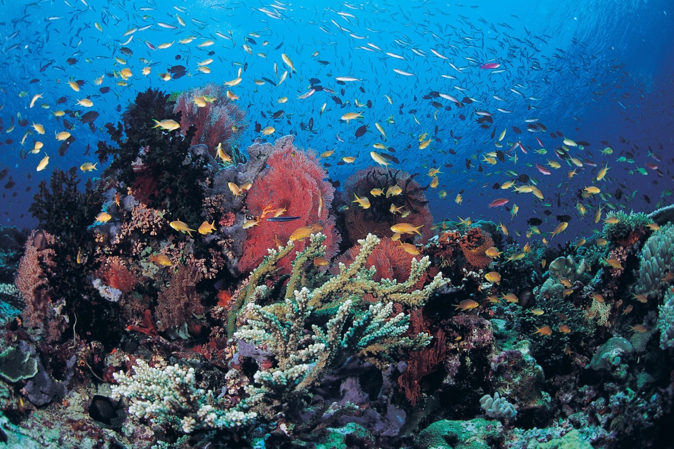 Milne Bay