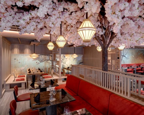 Explora I - Sakura 1.jpg