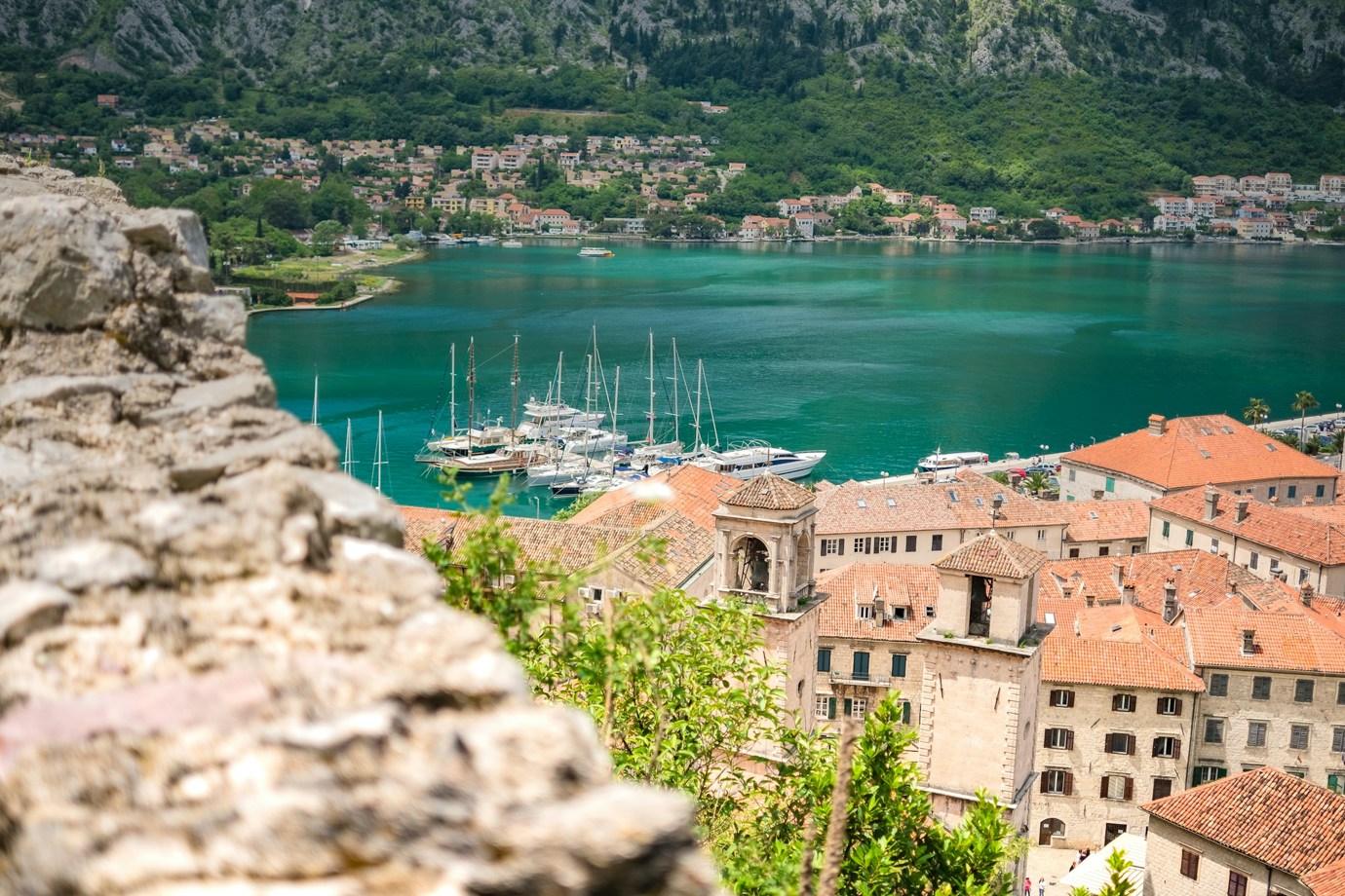 Kotor