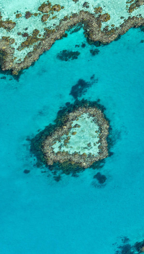 Heart Reef
