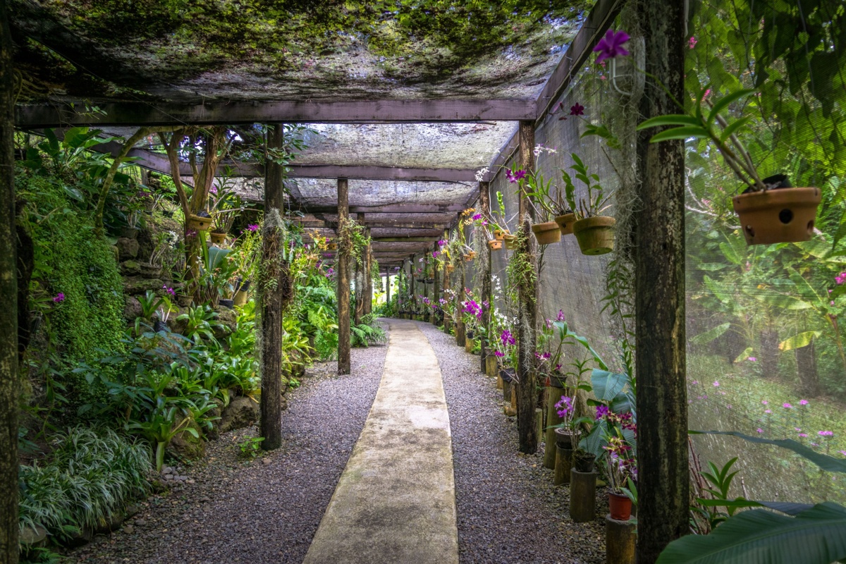 Shutterstock 1190784880 Suva Fiji