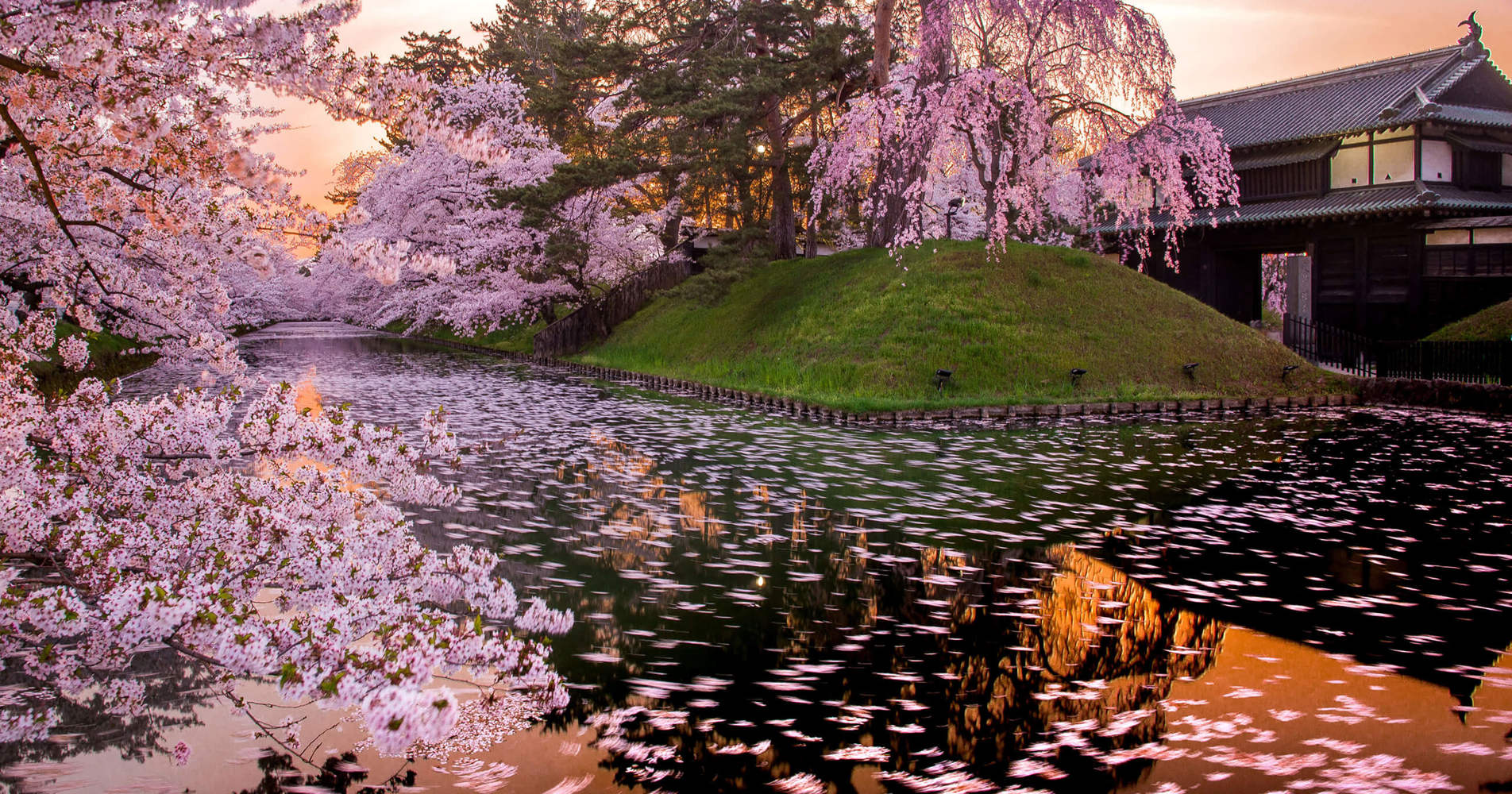 Raise Your Expectations