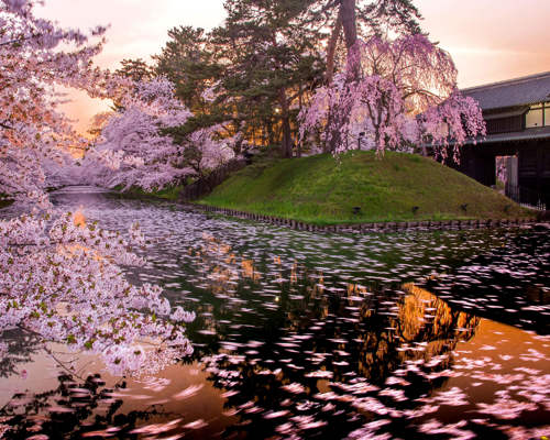 Shutterstock 549000976 Aomori Japan