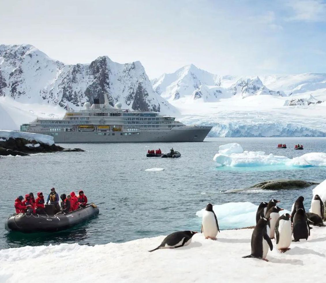 Silversea expedition in Antarctica 
