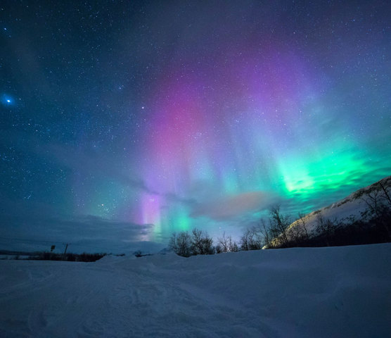 Northern Lights