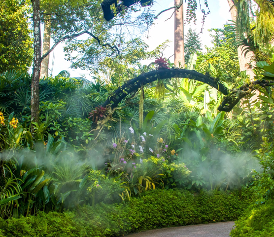 National Orchid Garden