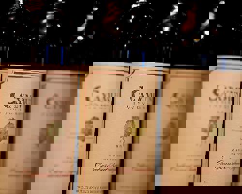 RCI Wine Tasting.jpeg