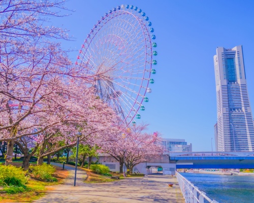 Tokyo (Yokohama), Japan
