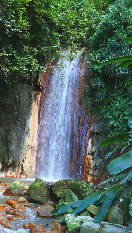 Diamond Falls Botanical Gardens