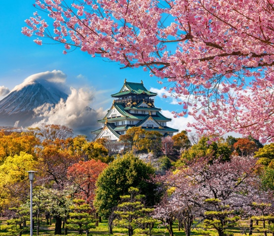 Osaka Castle
