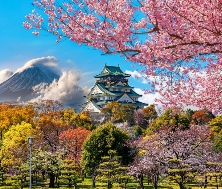 6* Luxury Japan in Bloom: Temples, Traditions & Cherry Blossom