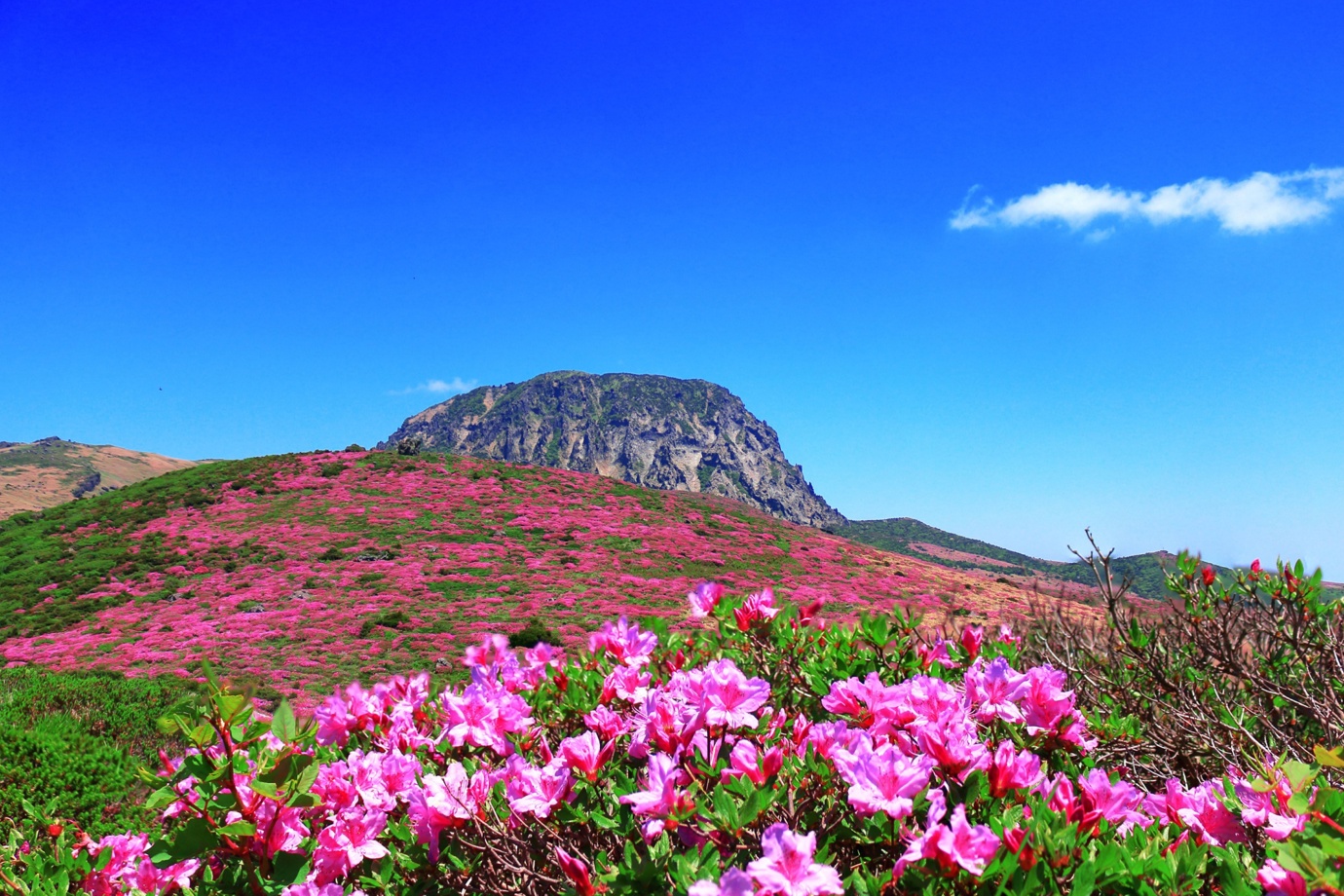 Mount Halla, Jeju