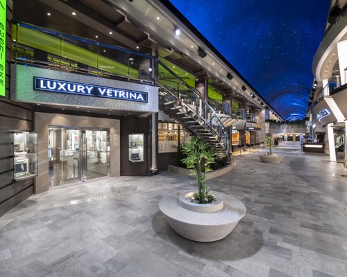 MSC Cruises MSC Belissima Galleria Bellissima 4.jpg