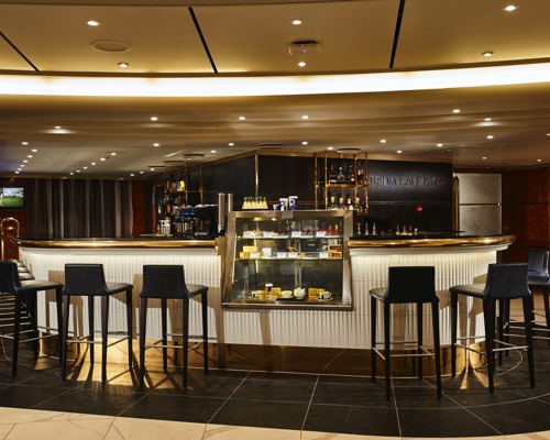 NCL Norwegian Sun Atrium Café & Bar.jpeg