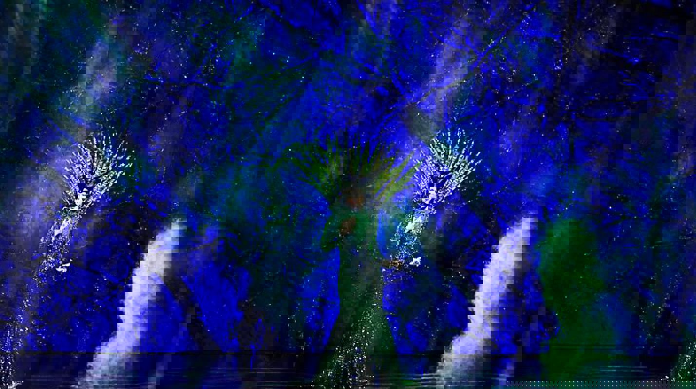 RCI Once Upon A Time.jpeg