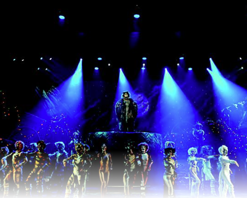 RCI Oasis of the Seas Cats.png