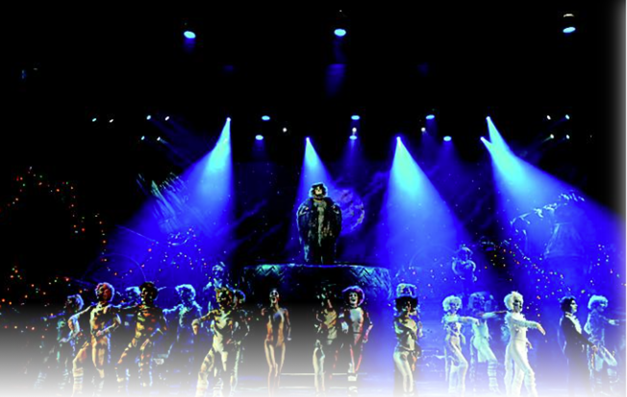 RCI Oasis of the Seas Cats.png