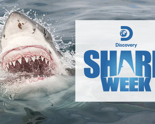 Princess Cruises Royal Princess Discovery at Sea 3.png