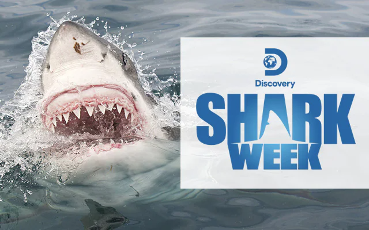 Princess Cruises Royal Princess Discovery at Sea 3.png