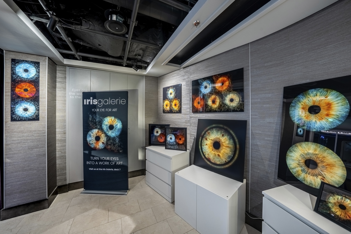 Msc Grandiosa   Iris Galerie 2