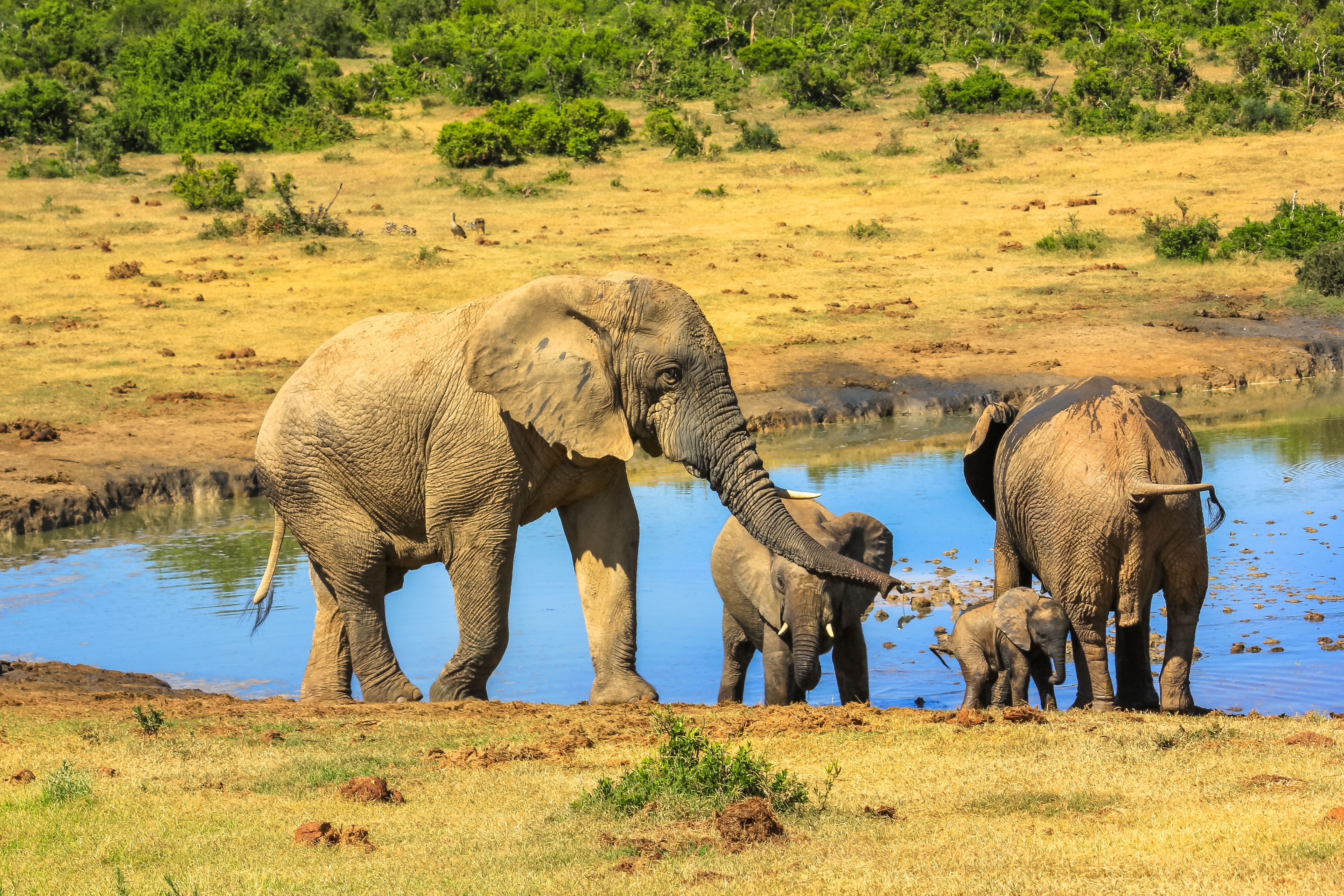 Shutterstock 2430043775 South Africa