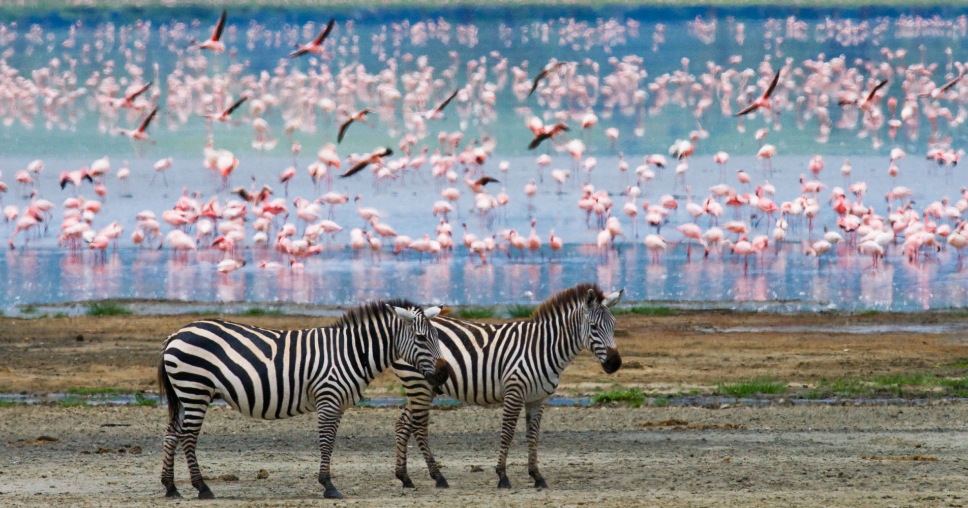 Natural Wonders