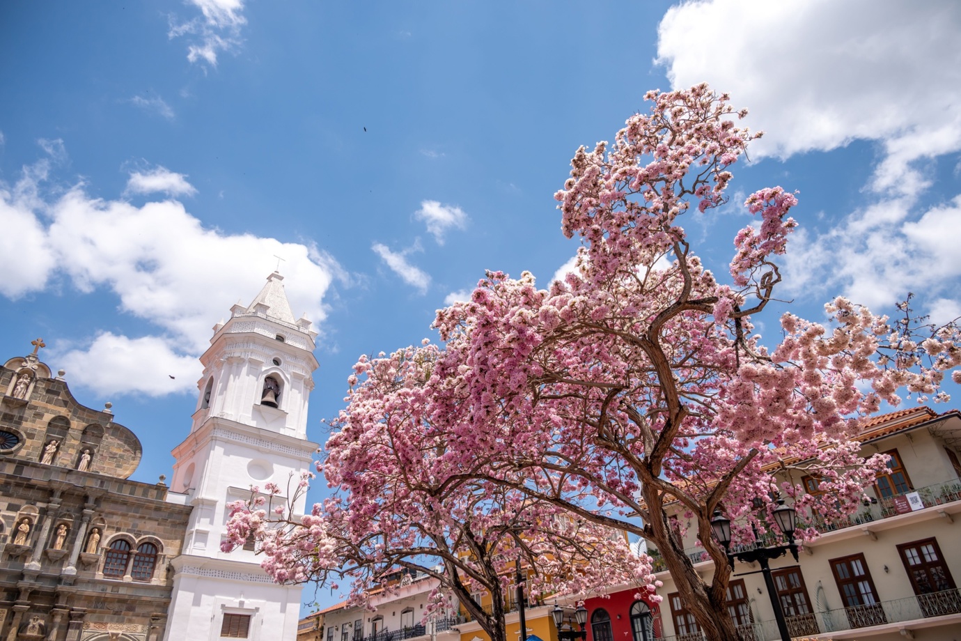 Metropolitan Cathedral of Panama