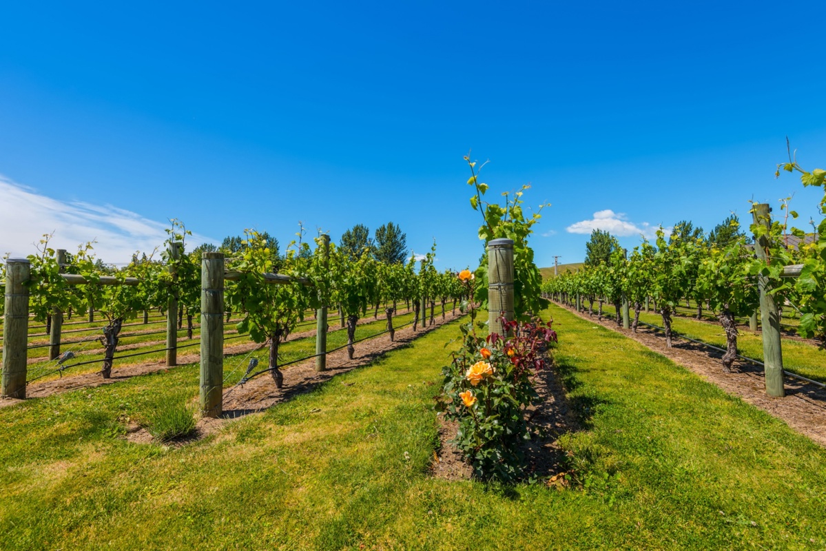 Shutterstock 410779474 Napier New Zealand