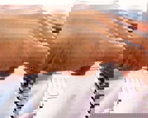 Seabourn Ovation - Meeting Rooms.jpg