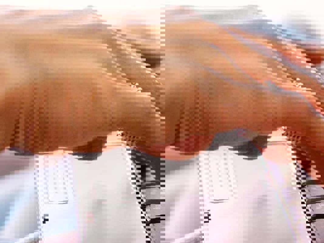 Seabourn Ovation - Meeting Rooms.jpg