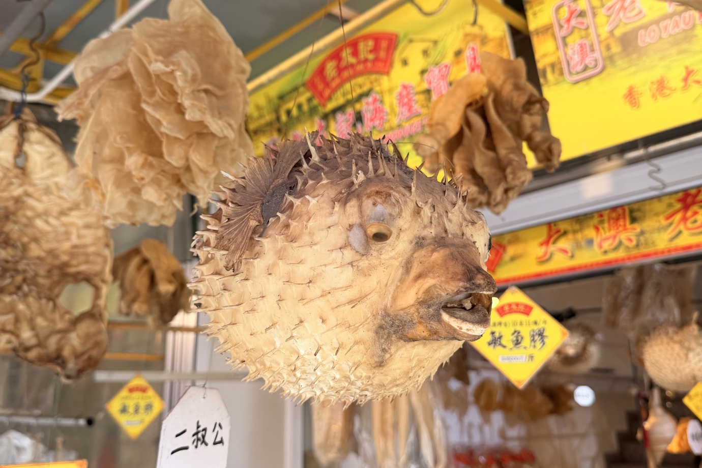 Dried Seafood in the Local Market