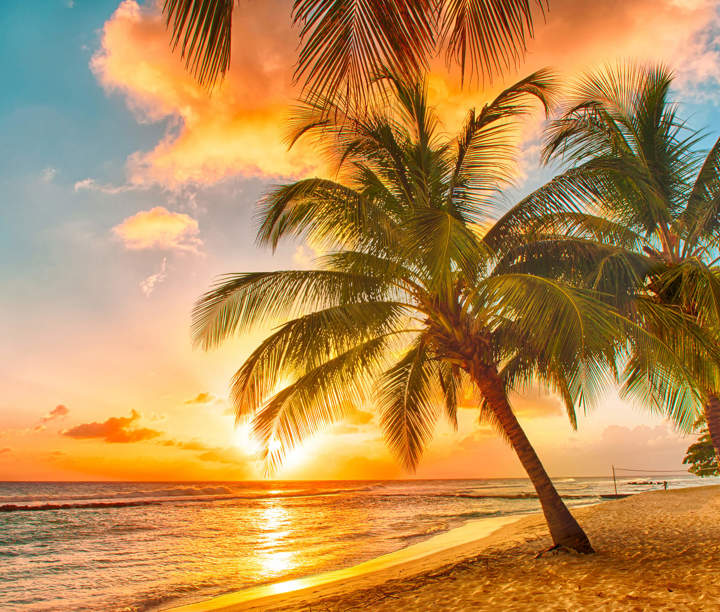 Spanish Shores to Caribbean Island Sunsets