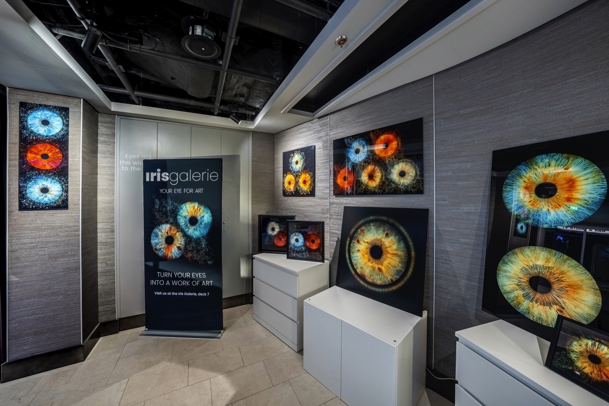 Msc Cruises Msc World Europa Iris Gallery   Ivan Sarfatti And Msc Rights 0