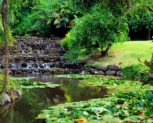 Shutterstock 582819202 Tahiti French Polynesia