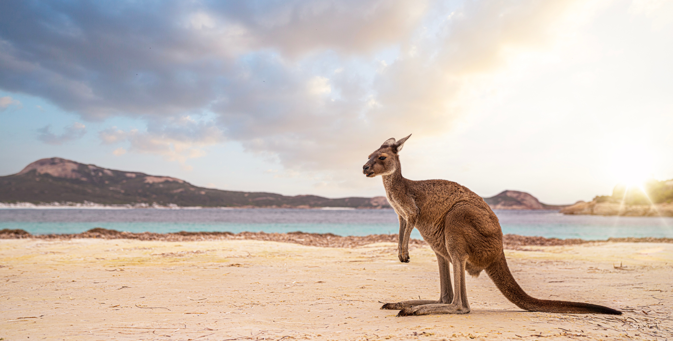 Kangaroo Island