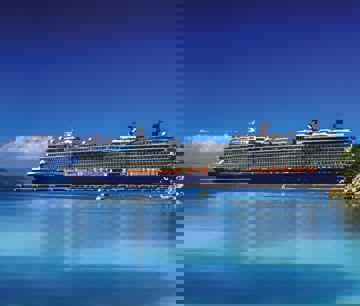 Celebrity Silhouette