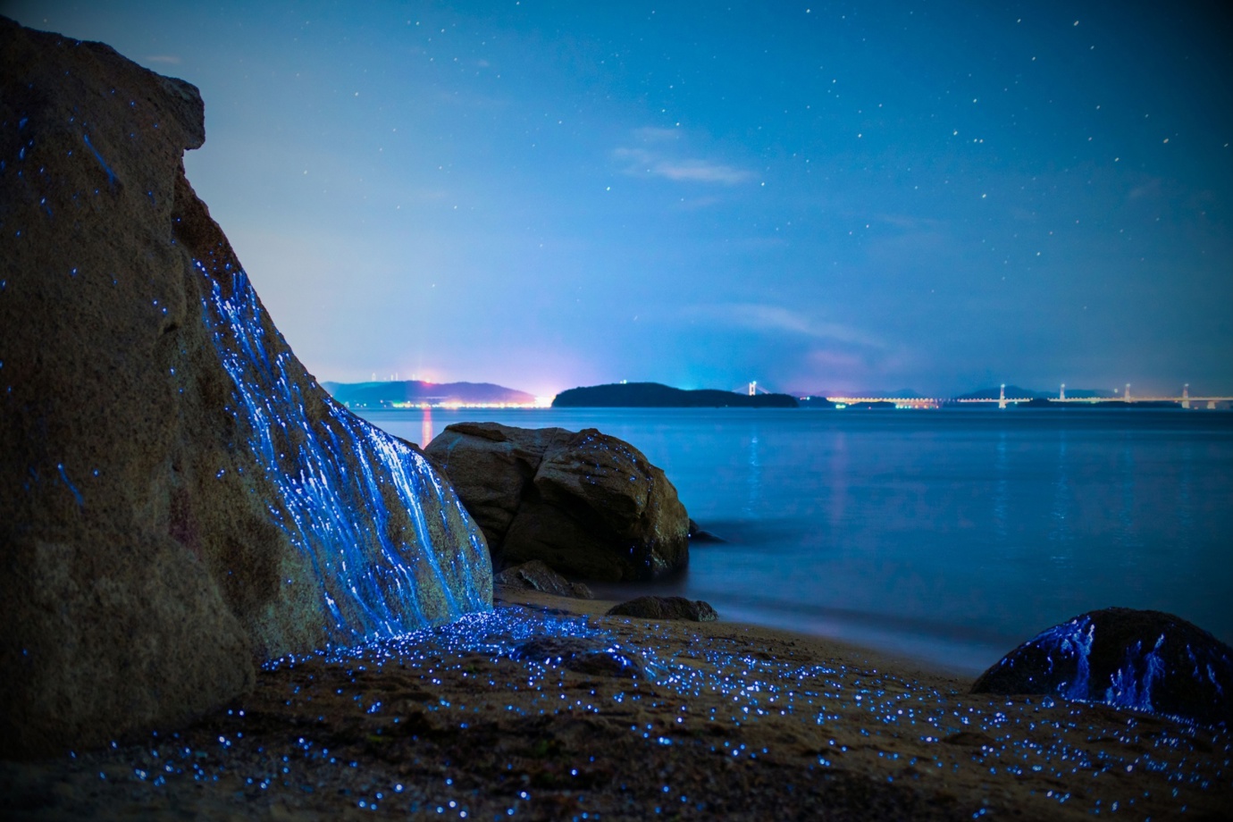 Bioluminescent Mosquito Bay