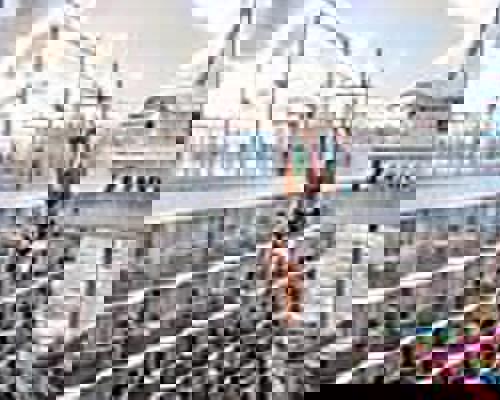 RCI Wonder of the Seas Zip Line.jpeg