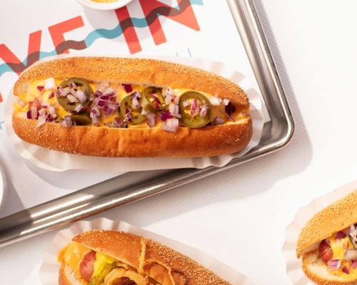 Holland America Line Zaandam Dive In.png