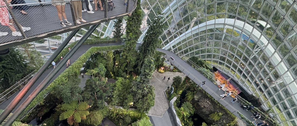 Gardens By The Bay Cloud Forest