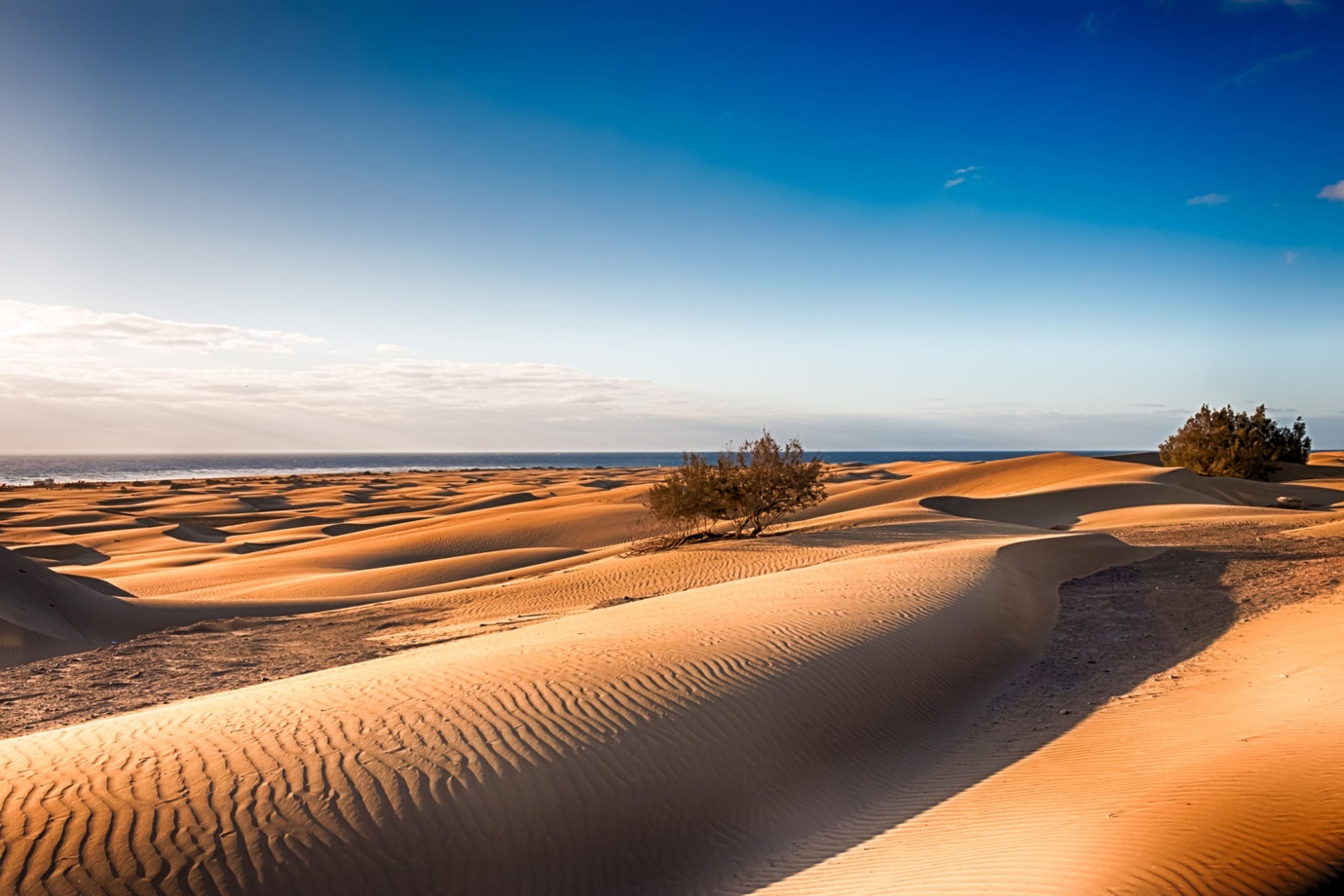 Maspalomas Dunes